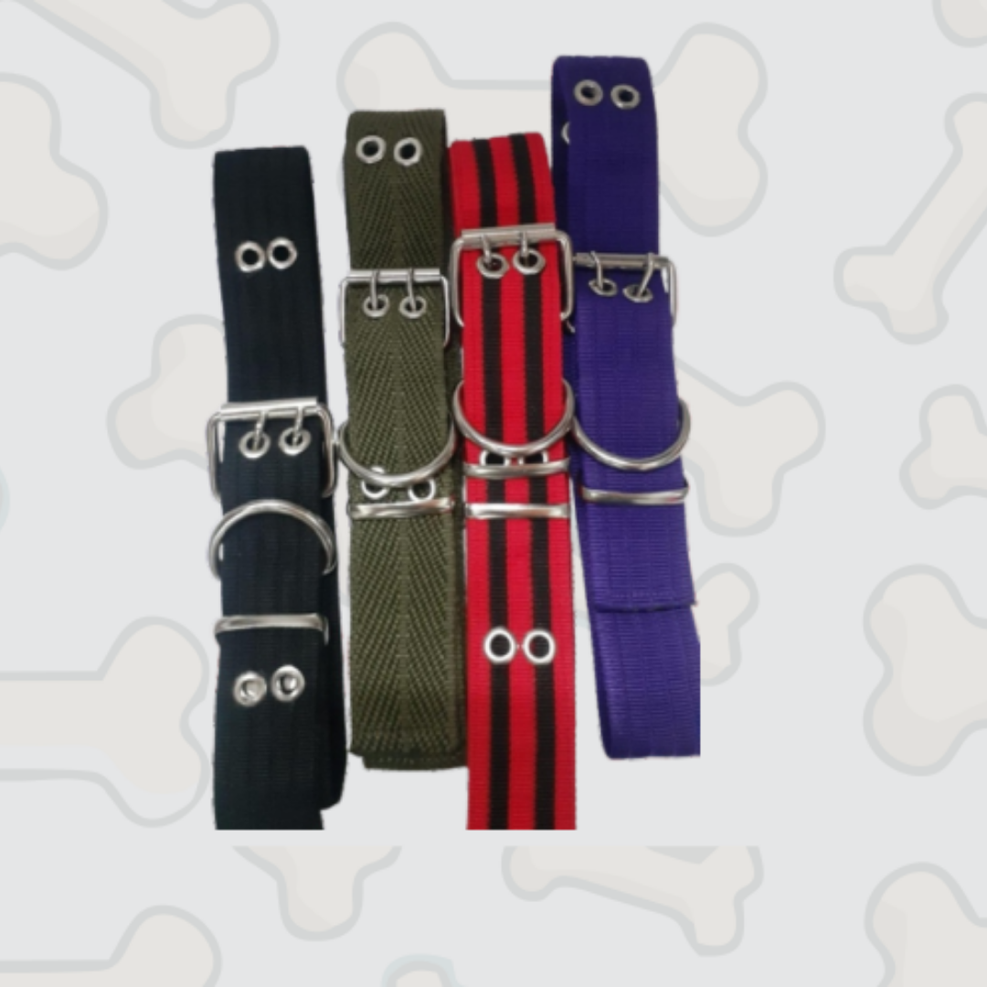 mascotas-con-estilo-imagen